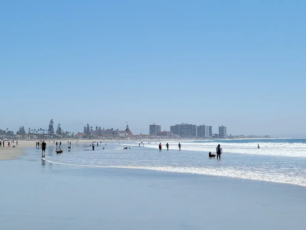 Coronado Dog Beach