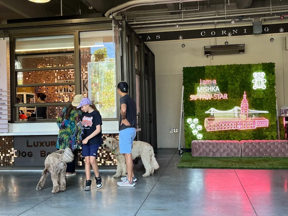 Mishka Dog Boutique