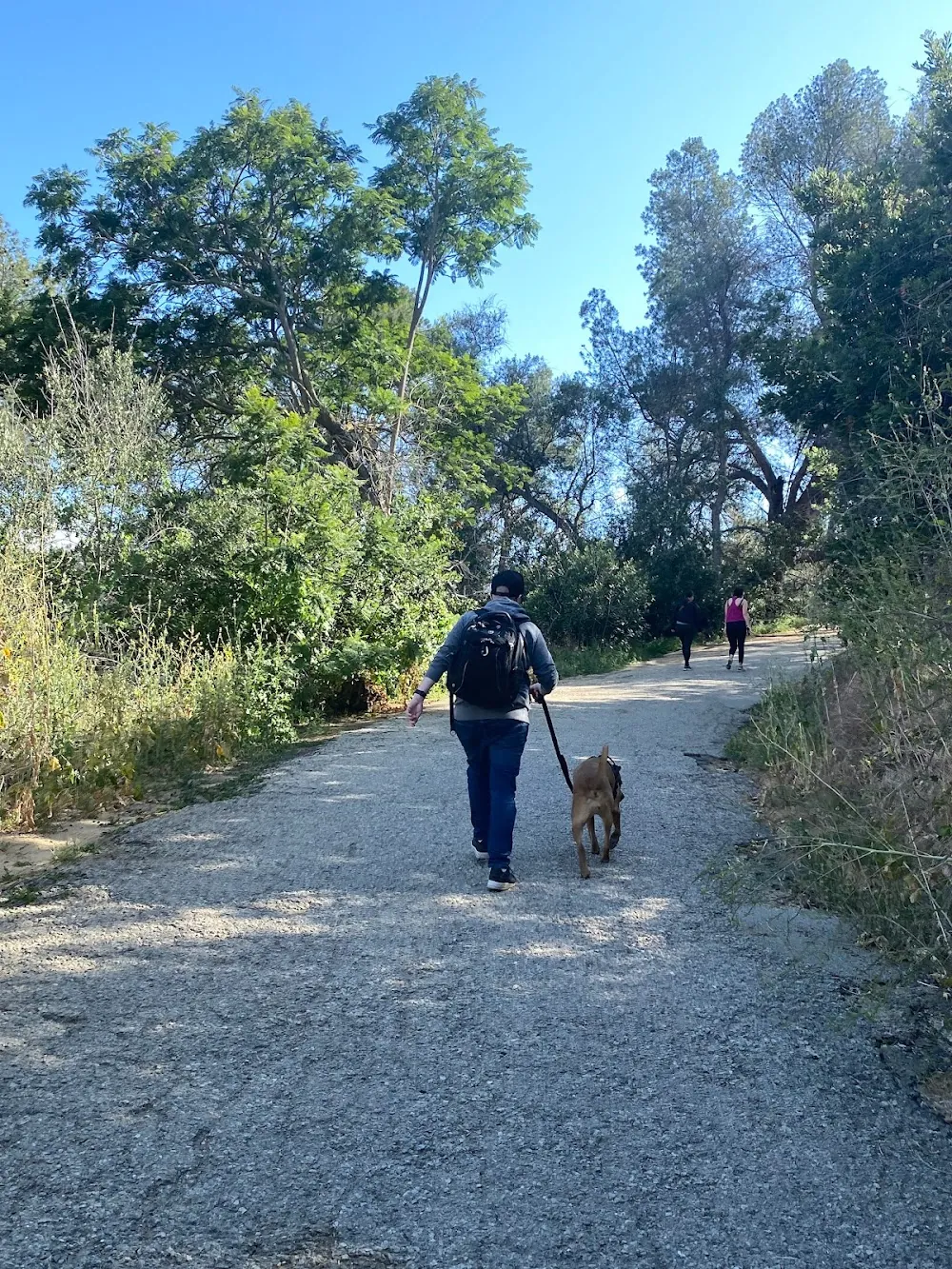 Fryman Canyon Park