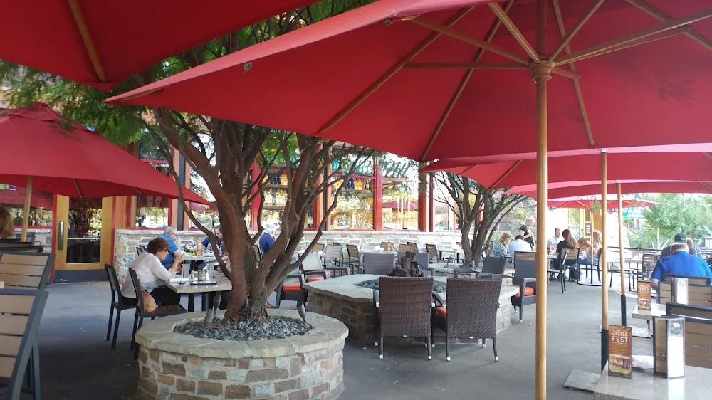 The Best Pet-Friendly Pubs & Bars in Los Angeles