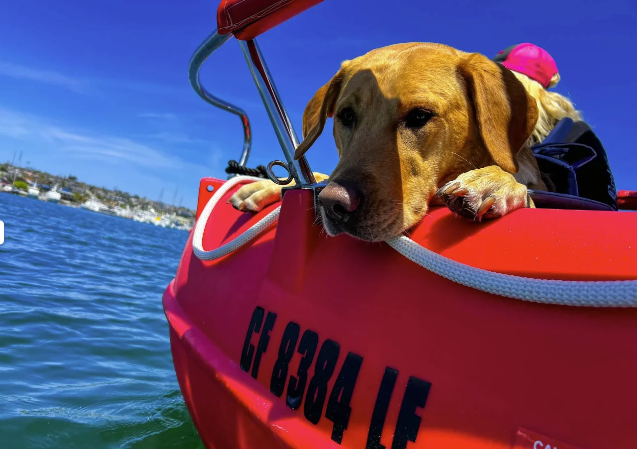 Eco Boat Rentals