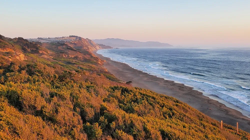 The Best Pet-Friendly Trails in San Francisco