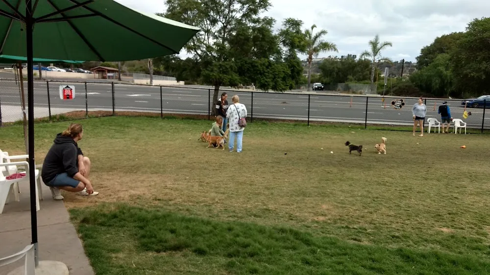 Capehart (Soledad) Dog Park