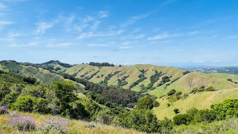 Sibley Volcanic Regional Preserve