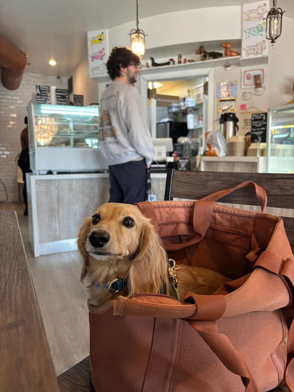 Long Dog Coffee and Treats