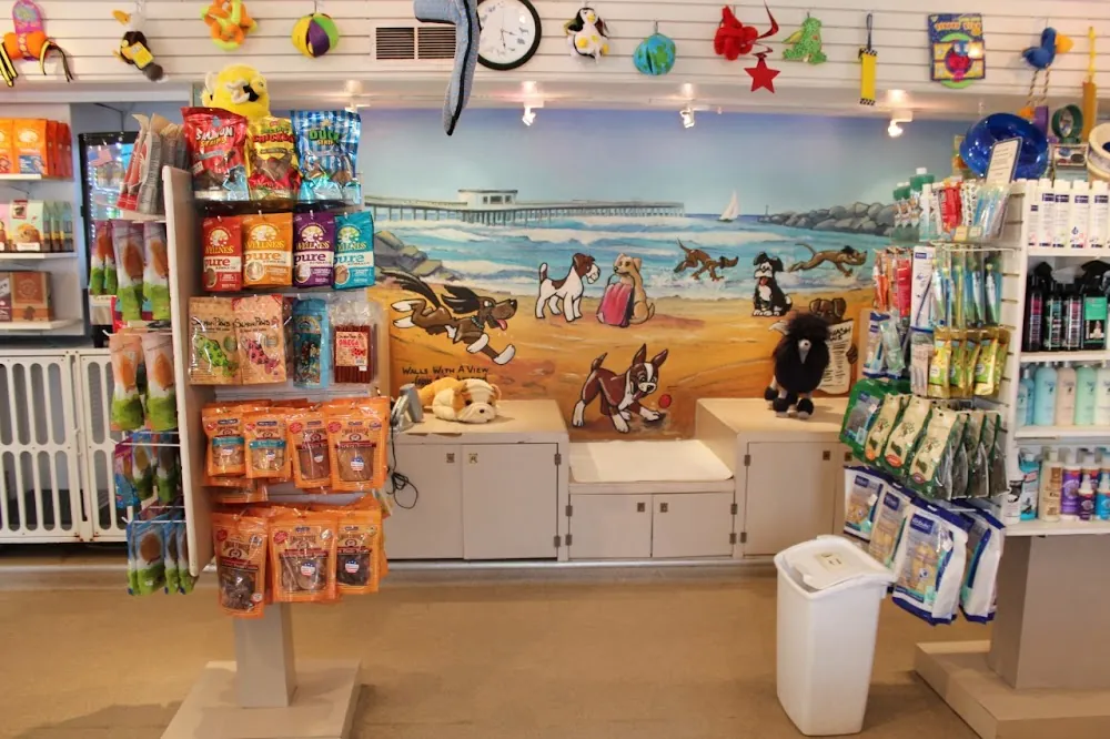 Dog Beach Dog Wash