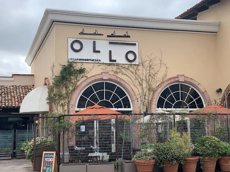 The Best Pet-Friendly Restaurants in Santa Monica
