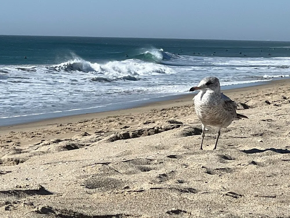 Santa Ana River County Beach River Jetties
