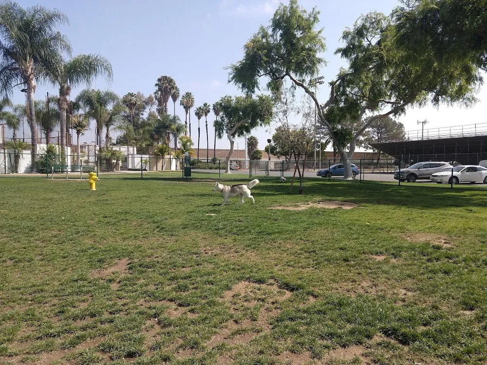 The Best Pet-Friendly Parks in Los Angeles