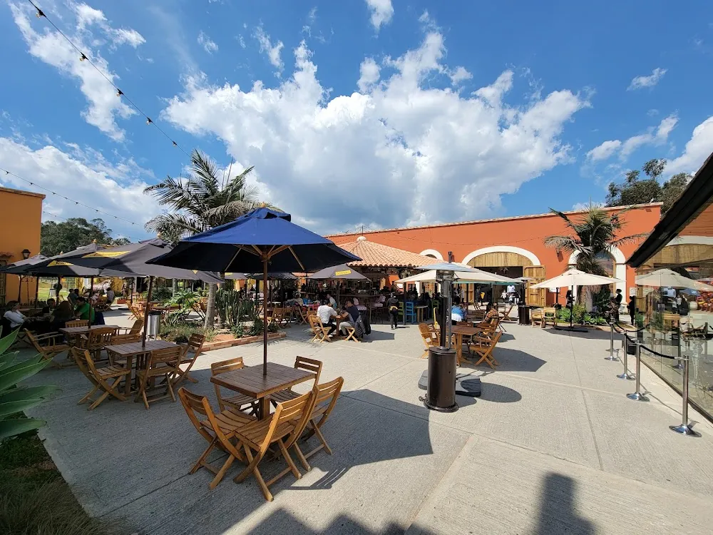 Los Mejores Restaurantes Pet-Friendly en Bogotá
