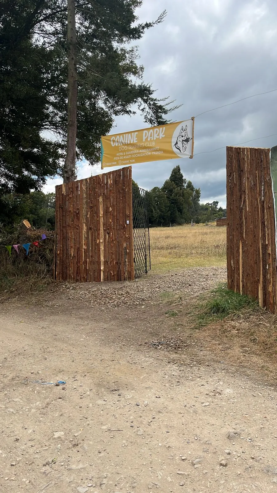 Canine Park dog training club