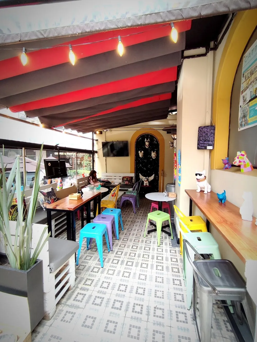 Los Mejores Cafés Pet-Friendly en Bogotá